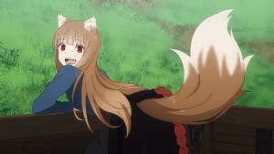 wolf girl anime|These Anime Wolf Girls Are Fierce — And Fiercely Loyal